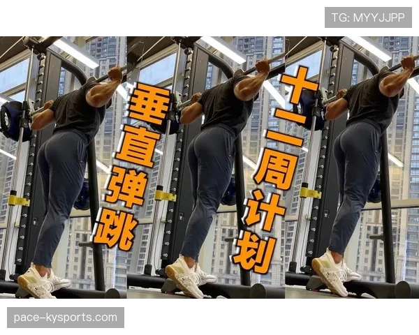 垂直起跳规则如何界定防守中的合法起跳与犯规？