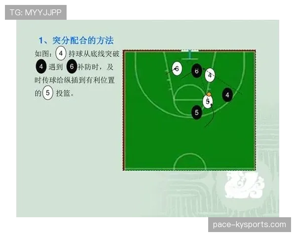 篮球持球规则详解：动作界限与违例判定标准
